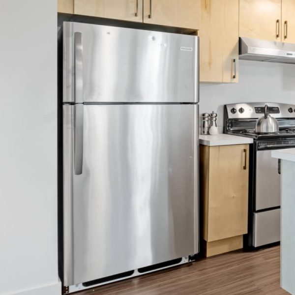 Double Door Mini Fridge with Freezer for Office or Dorm with Adjustable Remove Glass Shelves - Gambar 2